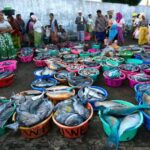 Ikan hasil tangkapan nelayan